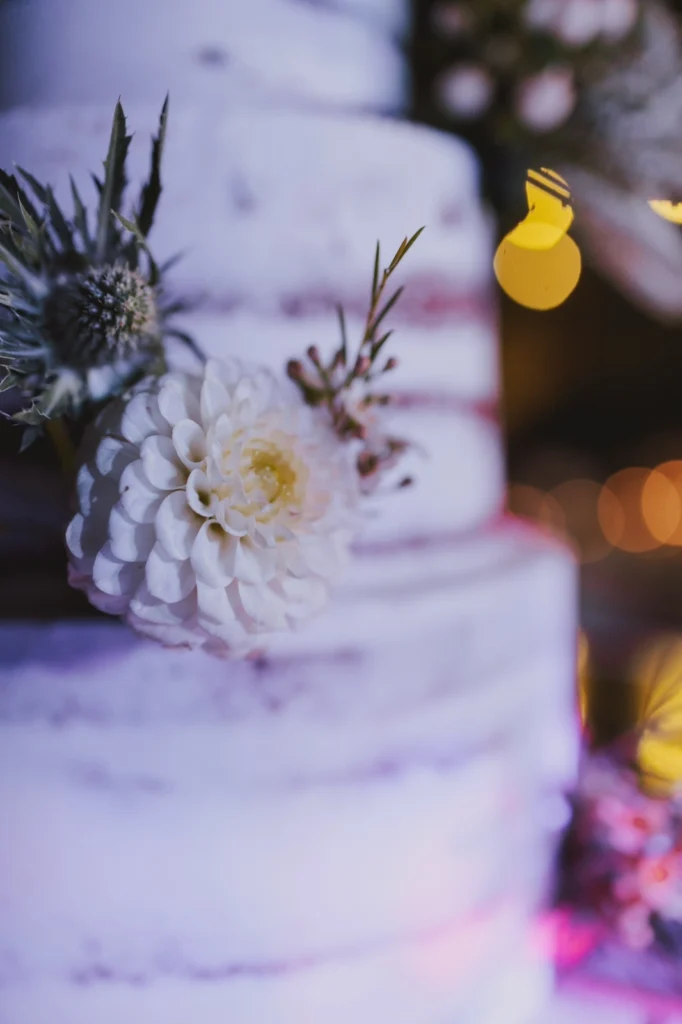 Wedding Event Planning by Gold and Silver Events